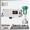 Posicionador Inteligente de Válvula Rotork Genuíno Padrão Nacional com Válvula Reguladora de Instrumento Wu Zhong