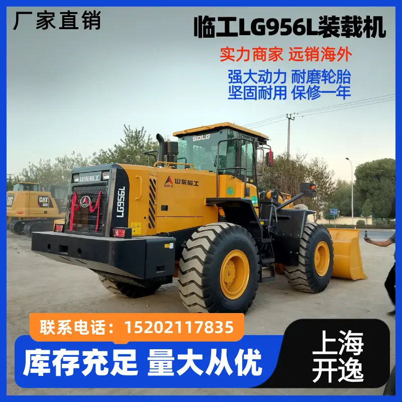 临工956 (3)