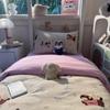 Estilo Ins Kapok Como Nube Hilo Arrugado Estampado Litera de Dormitorio Juego de Tres Piezas para Estudiantes Funda de Edredón de 1.8m Sábanas