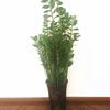 Zhixiao Árbol del Dinero Orquídea Pilar Huilan Verduras Melón y Frutas Plantas Enredadera Soporte Fijo Varilla Pilar de Flores