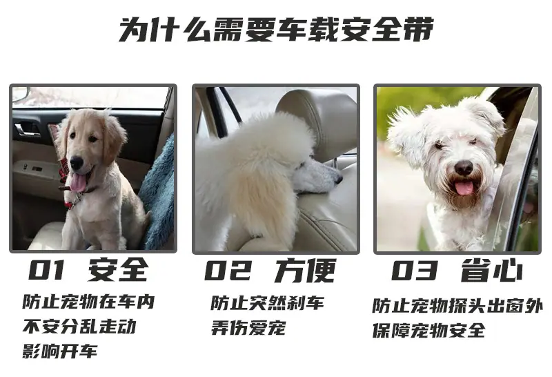 未标题-4