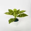 Bonsai Simulado Plantas Verdes Artificiais Enfeites Mesa Gabinete de TV Plantas Verdes Enfeites de Decoração de Escritório Pousada Plantas em Vasos Atacado
