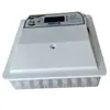 Incubadora Mini Totalmente Automática para Uso Doméstico, Incubadora Inteligente Pequena para Frango, Incubadora de Ovos com Rolo