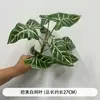 Arte Floral para Bodas Hojas Artificiales Verdes Plantas Patas de Pato Tropicales Madera Hojas de Magnolia Paisajismo Fotografía de Boda Posando Plantas Verdes
