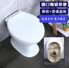 Renovación de Baños en Zonas Rurales: Conversión de Inodoros de Sentadilla a Inodoros de Asiento, Transformación de Pozos de Sentadilla a Inodoros Cerámicos Secos de Flujo Directo, Tipo de Doble Uso