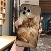 Capa de celular para iPhone 15 com vazamento lateral dominador de gato birmanês