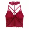 Explotaciones Transfronterizas Encaje Completo Sexy Colgante del Cuello Tirante Pequeño Espalda Hermosa Chaleco con Almohadilla en el Pecho Ropa Interior sin Aros
