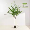 Estilo Nórdico Madera de Caballo Artificial Árbol de Campana Japonés Exhibición de Ventana de Hotel Sala de Estar Estilo Nórdico Decoración Planta Verde Bonsái Bambú