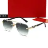 Nuevas Gafas de Sol Europeas y Americanas de Borde Cortado Transfronterizas, Gafas de Montura Redonda, Gafas de Sol de Moda para Mujer, Estilo Versátil y Único 3161
