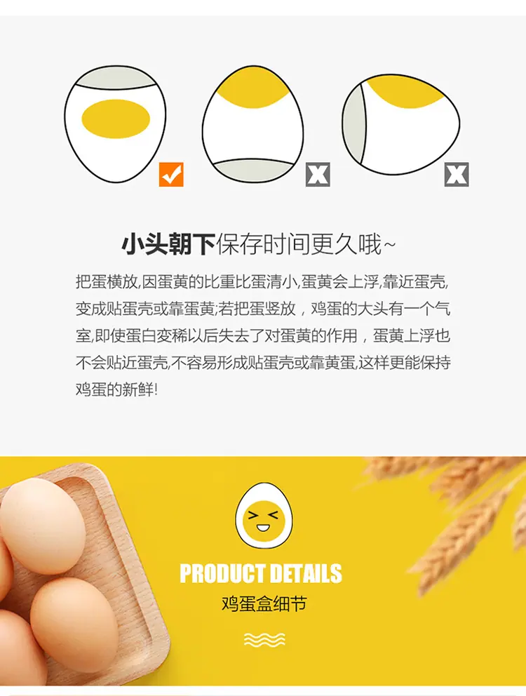 鸡蛋盒_10.jpg