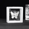 Broche de mariposa blanca de alta calidad anti-fritillary Perla anti-luz pasador corsage punto de fábrica al por mayor accesorios para ropa