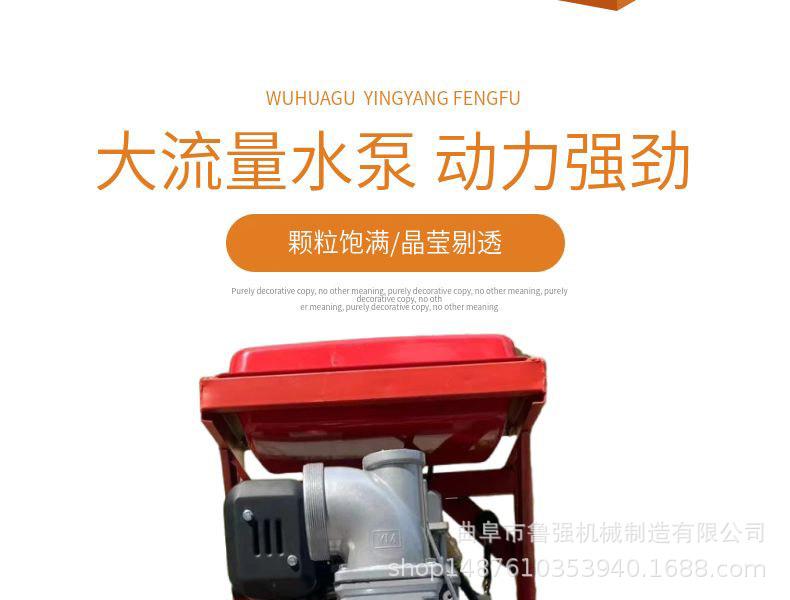 淘宝天猫黄色小清新风格龙眼水果详情页模板_03