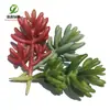Simulación planta suculenta súper grande tamaño pequeño suculenta bonsái planta verde flor de plástico en maceta micro paisaje con pared vegetal