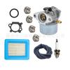 Carburador para 498170 799872 694202 498966 498254 497586 497410