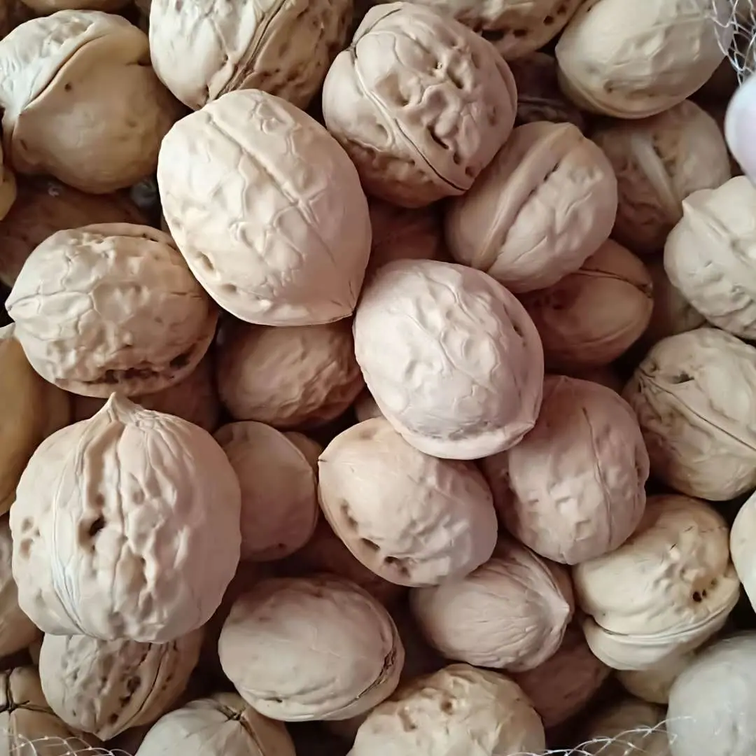 微信图片_20190507133801