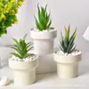 Maceta de Cerámica Escandinava Ins Estilo Crema Maceta Simple de Alta Gama para Suculentas y Cactus Maceta Fresca para Plantas Verdes de Interior