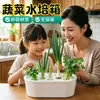 Caja hidropónica para verduras, caja de cultivo casera sin tierra, kit hidropónico para el rebrote de cebolleta, cilantro y ajo, caja de cultivo