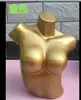 Mannequins de Vitrine para Lojas de Lingerie e Roupa Íntima, Maniquins de Tronco e Glúteos Masculinos e Femininos para Exibição de Sutiãs e Roupas Íntimas, Conjunto Pintado