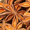 Seleção Completa de Especiarias e Temperos, Combinações Escolhidas Pelo Cliente, Folhas de Louro Pequenas, Ervas para Uso Doméstico, Angélica Branca, Marinada Seca, Tempero para Carne, Anis