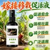 Cura Feridas de Enxertia de Plantas Frutíferas Florais Incisão de Enxertia Promotor de Vitalidade Troncos de Árvores Bonsai Ferramenta de Enxertia para Árvores Grandes