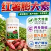 Camote Batata Control Wang Agente Hinchador Fertilizante Especial para Raíces y Tallos Subterráneos Fertilizante Foliar Papa Taro Camote Universal