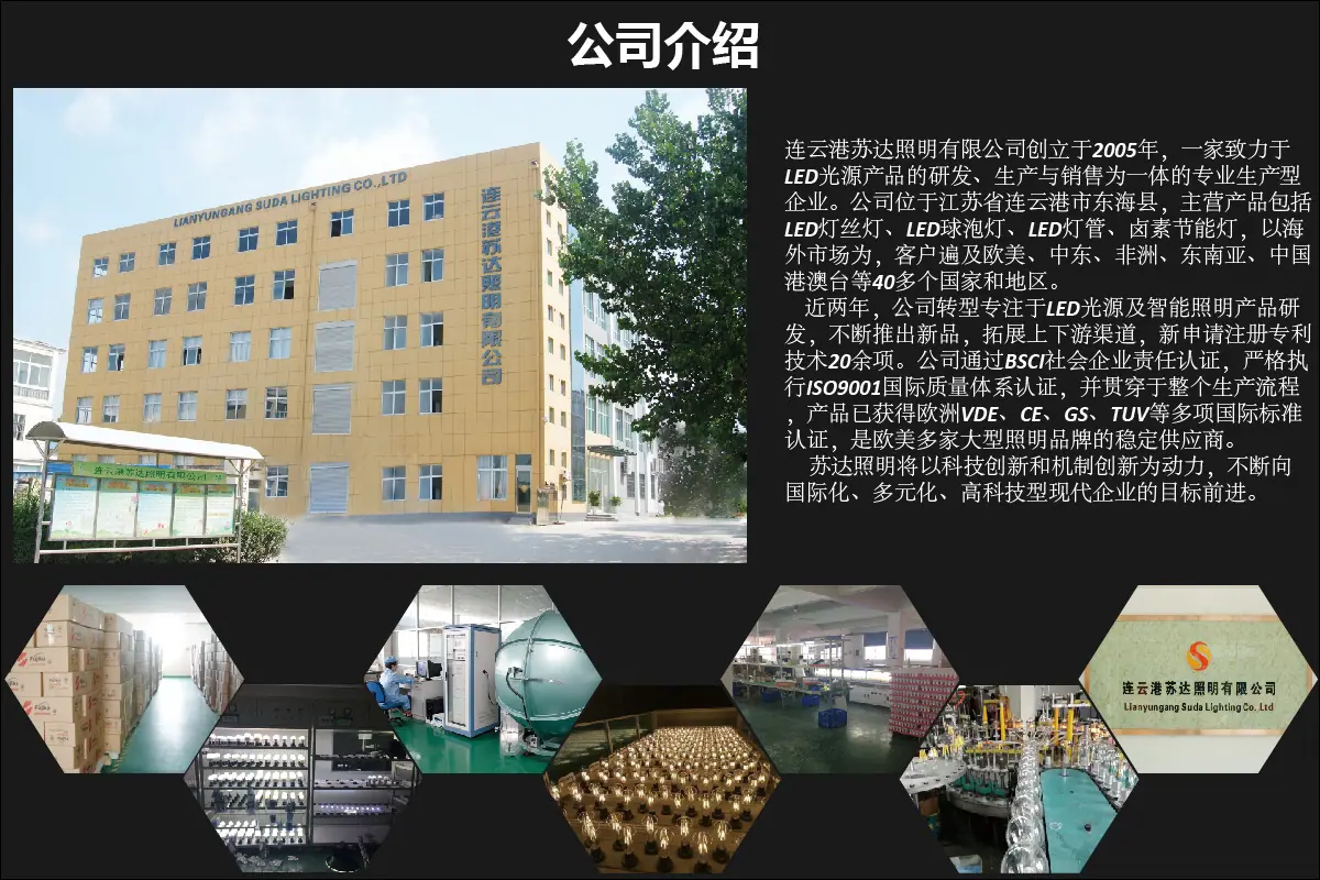 国内站_画板 1 副本 4
