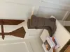 []Botas de punta fina, con aumento de altura interior, corte ajustado, colección otoño/invierno 2026, patchwork de ante, diseño plisado, botas hasta la rodilla para mujer