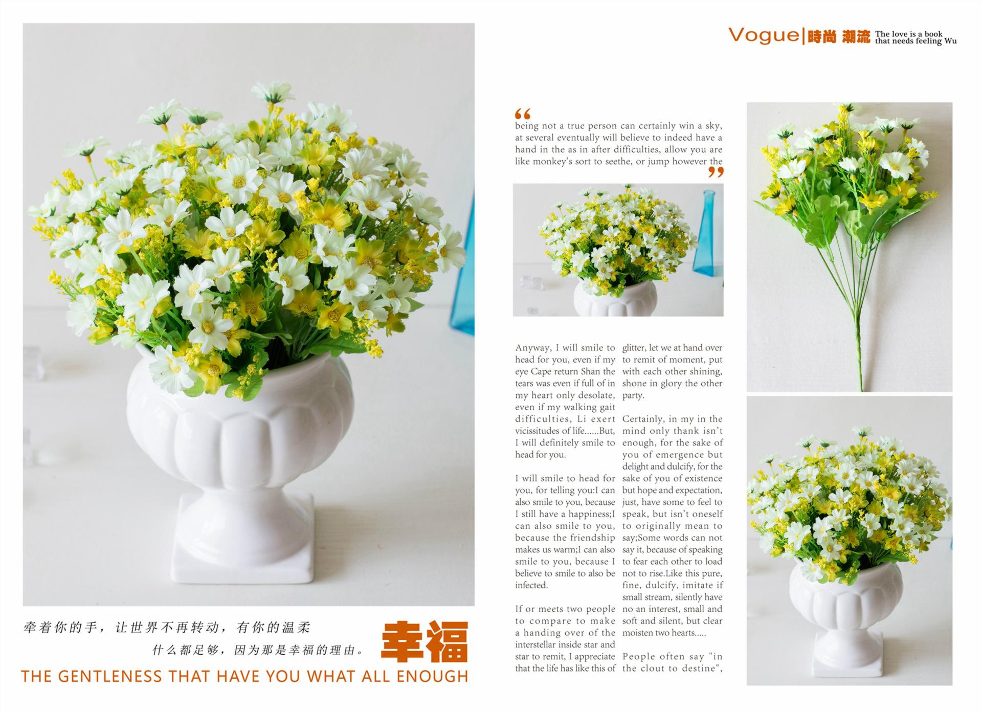 28头跳兰菊
