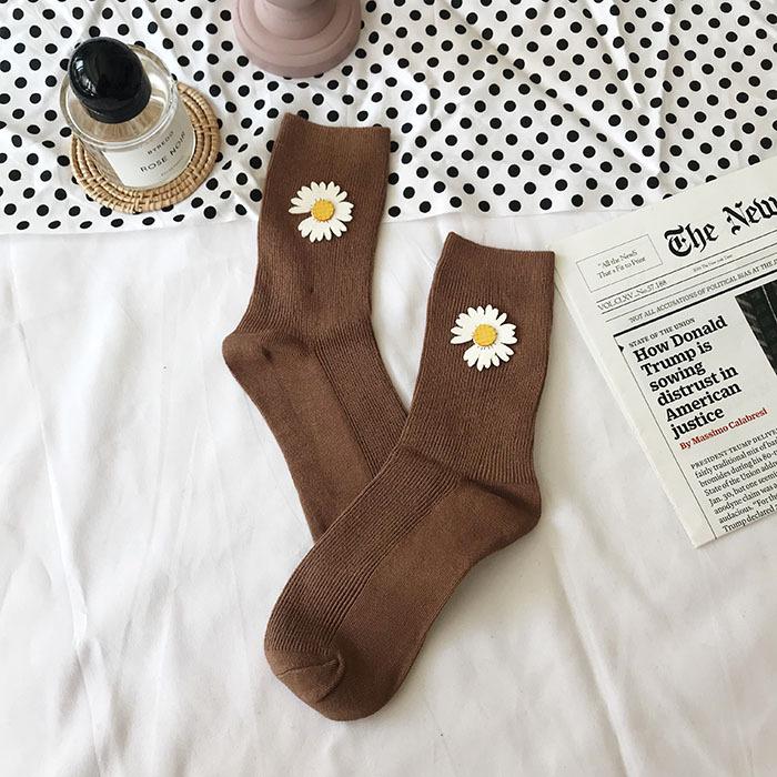 IMG_5384(20191229-231456)