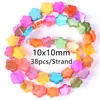 Conchas de Agua Dulce de Colores, Forma de Cruz, Forma de Corazón y Otros Tipos de Conchas, Accesorios para Collares y Pulseras DIY, Productos Semi-Terminados al por Mayor