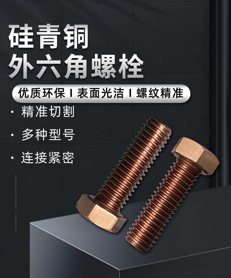 硅青铜外六角螺栓1 (1)