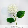 Bola de Nieve Crema Tallo Único Bola de la Suerte Accesorios de Fotografía Flores Artificiales Alta Calidad Frescas Flores para Pasillo de Boda