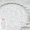 Manicura Blanca Perlada Lazo Lazo Sencillo Joyería para Uñas de Resina Mariposas Estéreo Japonesas Serpentinas 30 Piezas