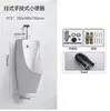Pia de Urinol Montada na Parede, Urinol Sensor de Piso, Urinol com Saída para Parede e Saída para Piso, Urinol Masculino para Uso Residencial e Comercial