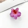 2025 Pinza para el pelo de Frangipani Transfronteriza Europea y Americana Pinza Lateral para el Cabello de Vacaciones en la Costa Pinza de Tiburón para la Parte Posterior de la Cabeza Accesorio para el Cabello