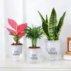 Fábrica de Origen Absorción Automática de Agua Transparente Maceta Perezosa Creativa Redonda Oficina Escritorio Planta Verde Hidropónico Plástico Maceta para Flores