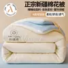 Colcha de algodón de grado A de Xinjiang, adecuada para bebés y niños pequeños, para dormitorios de estudiantes, para uso en primavera y otoño, engrosada para dar calor, núcleo de colcha de invierno, juego de cama