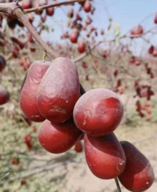 ff83fdd8734b0b228a14f35ed16adf