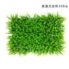 Valla de Césped Ignífuga Retardante de Llama Muro de Plantas de Simulación Muro de Plantas Verdes Valla de Muro Decorativo de Jardín Césped de Eucalipto Milan