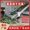 Secador de Col Deshilachada con Correa de Malla, Línea de Secado Grande para Col, Hojas de Verdura, Rábano, Equipo de Secado de Verduras