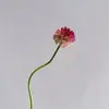 Flor de Cebolla de Bola Única Curva, Bola de Cebolla, Flor de Seda para Decoración de Interiores de Hotel en Centro Comercial, Arreglo Floral para Paisajismo de Jardín Exterior, Flor Artificial