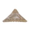 Horquilla triangular de ácido acético simple, horquilla grande, estilo retro, con forma de tiburón, para la parte trasera del cabello, horquilla de nicho para la cabeza