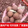 Lichias Secas de Guangdong, Fruta Grande, Variedade Guiwei de Gaozhou, Caroço Pequeno, Secas Naturalmente ao Sol, Nova Safra de 2026, Casca Fina, Polpa Espessa, Lichias Secas