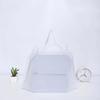 Bolsa de compras de bolsillo con diseño de EVA esmerilado, de nuevo estilo, universal, para regalo, de plástico, para llevar al por mayor