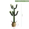 Cactus Falso Simulado Planta Verde en Maceta Florero Decorativo Adornos Pared de Fotos Fondo Simple Planta del Desierto Bonsái
