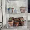 Caja de Incubación de Plantas Acrílica Transparente para Interiores Caja de Aislamiento de Plantas Caja de Temperatura Constante y Humedad Caja de Humidificación para Invernadero de Flores y Velas