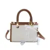 Bolsa de Design de Nicho Elegante de Alta Qualidade para Mulheres 2025 Nova Tendência Versátil Bolsa Transversal Moda Pequena Bolsa de Mão Quadrada