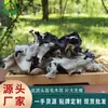 [Fábrica] Hongo Peludo de Espalda Blanca de Cabeza Grande Primera Cosecha de Shandong 0.5kg Crujiente Alta Tasa de Espuma Ensalada Fría Oem