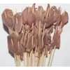 Brochetas pequeñas al por mayor para barbacoa de mercado nocturno, selección completa de brochetas calientes y frías, brochetas fritas, productos semiacabados, pollo Bobo y brochetas de cordero