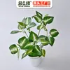 Planta Artificial Planta Verde Planta em Vaso Folha Artificial Decorativa Planta de Sete Pontas Folhagem Rica Material de Parede de Plantas Flor Artificial Cola para Folhas Sensação de Folha
